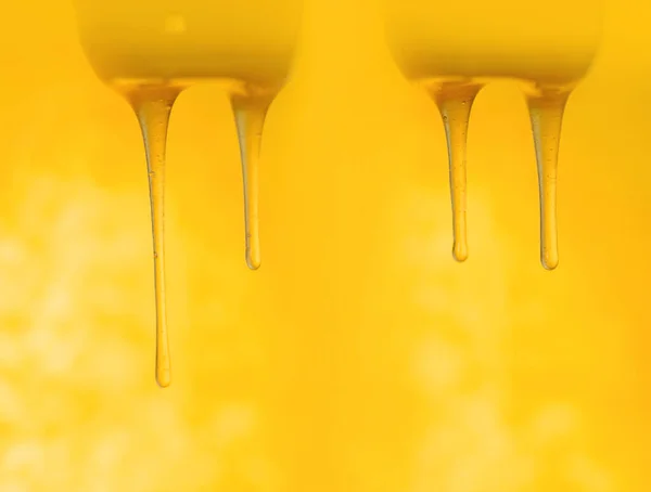木製ディッパースティックから流れる有機甘い蜂蜜 — ストック写真