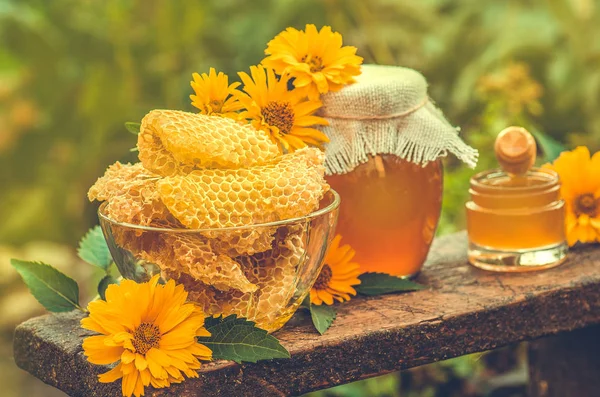 Different kinds of honey on wooden  background. Healthy organic honey — Stockfoto