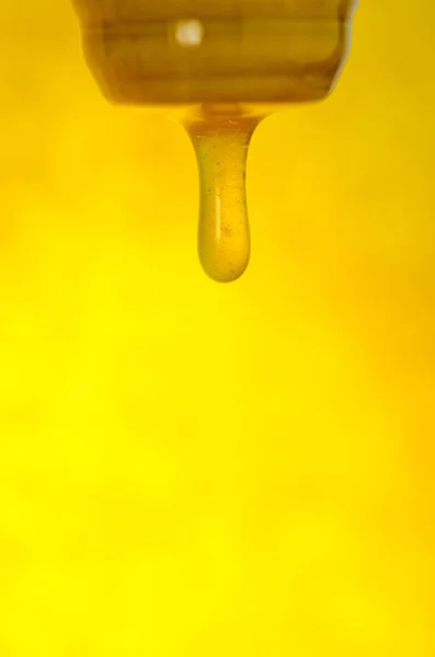 Honey stick with pouring honey. Flow of sweet honey