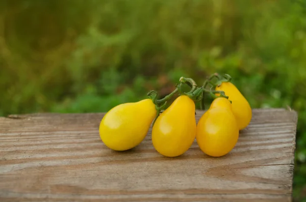 Birnenförmige gelbe Tomate auf einem Holz. — Stockfoto