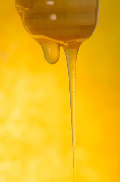 Doce flor âmbar fluxos de mel — Fotografia de Stock
