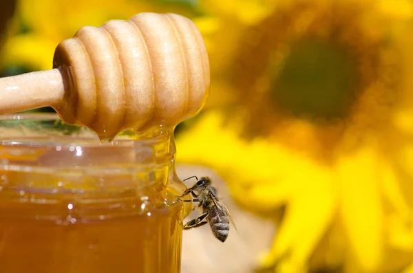 Hohey Glass Jars Western Honey Bee Honey Bee Nature Background — Stockfoto