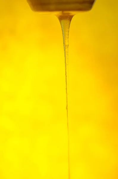 Honey Flowing Wooden Spoon Sweet Amber Flower Honey Flows Liquid — Stockfoto