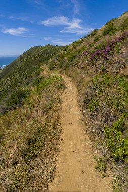 Dağ doruklarına Cape Town, Güney Afrika