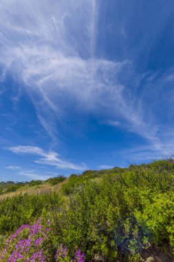Dağ doruklarına Cape Town, Güney Afrika