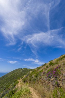 Cape Town sceneic dağ