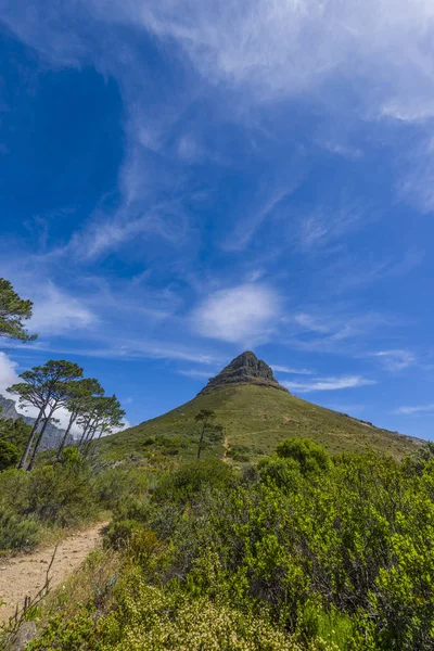 在南非开普敦的山峰 — 图库照片