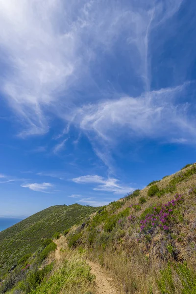 Cape Town sceneic dağ