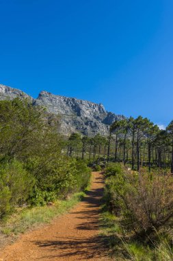 Cape town Masa Dağı
