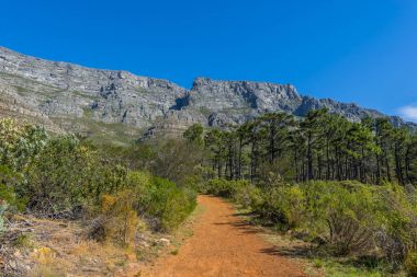 Cape town Masa Dağı
