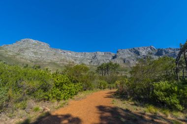Cape town Masa Dağı