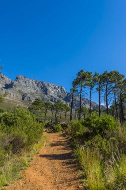 Cape town Masa Dağı