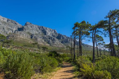Cape town Masa Dağı