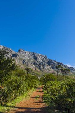 Cape town Masa Dağı