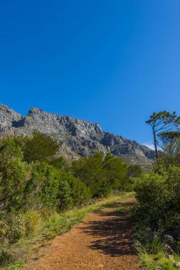 Cape town Masa Dağı