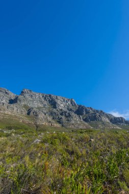 Cape town Masa Dağı