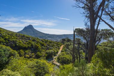 Cape town Masa Dağı