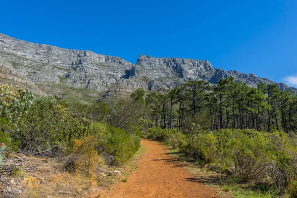 Cape town Masa Dağı