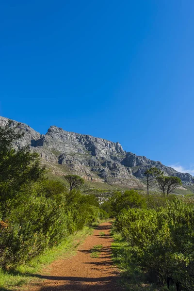 Cape town Masa Dağı