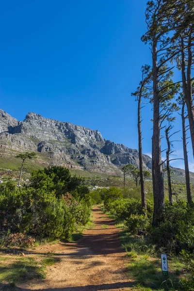Cape Town Table Mountain — Stock Photo, Image