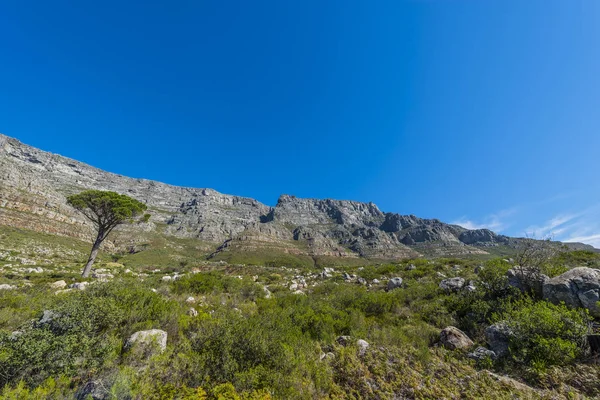 Cape town Masa Dağı