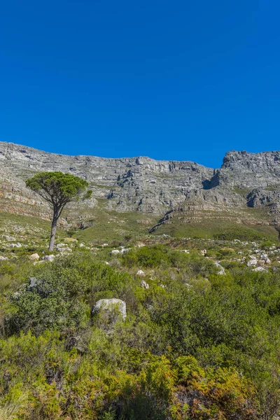 Cape town Masa Dağı