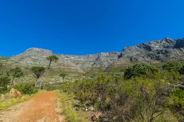 Cape town Masa Dağı