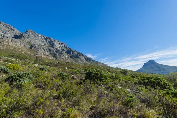 Cape town Masa Dağı