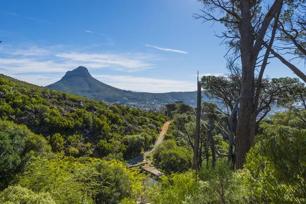 Cape town Masa Dağı