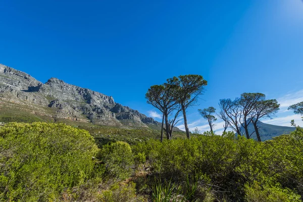 Cape town Masa Dağı