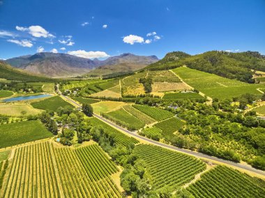 Franschoek winelands and mountain countryside clipart