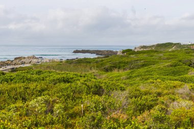 Hermanus şehirdeki Cliff yolu