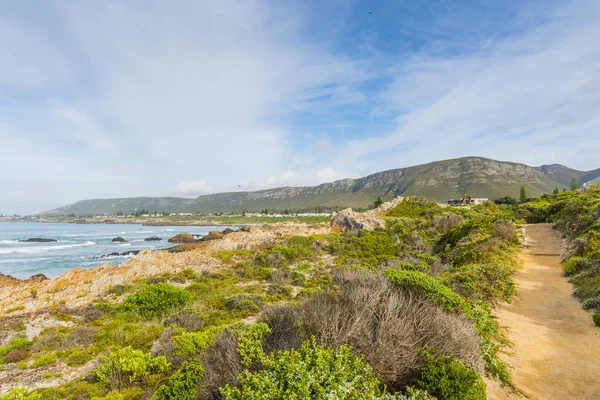 Hermanus şehirdeki Cliff yolu — Stok fotoğraf