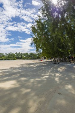 Mauritius tropikal Cennet plaj