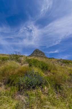 Cape Town aslan kafa dağ