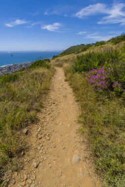 Cape Town sceneic dağ