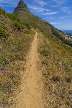 Cape Town aslan kafa dağ