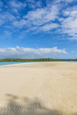 Mauritius tropikal Cennet plaj