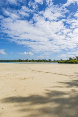 Mauritius tropikal Cennet plaj