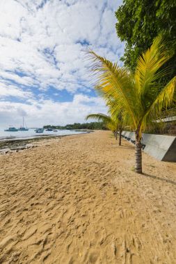Bain Boeuf tropical beach