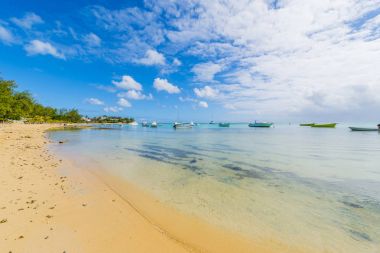 Bain Boeuf tropical beach