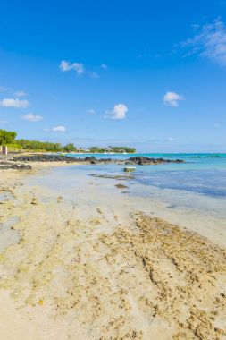 Bain Boeuf tropical beach