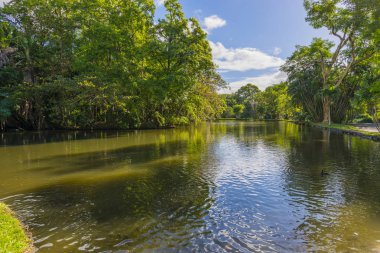 Gölet Mauritius Botanik Bahçesi