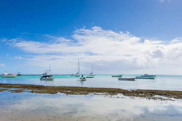 Bain Boeuf tropical beach — Stock Photo, Image