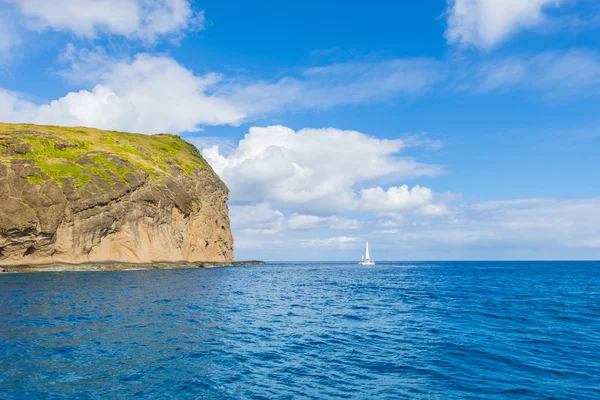 モーリシャス コインデ湿原の島 — ストック写真