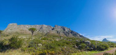 Cape town Masa Dağı