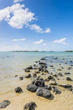 Mauritius tropikal plaj 