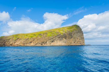 Mauritius sikke de Mire Adası