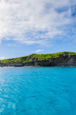Mauritius sikke de Mire Adası
