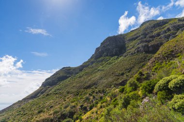 Cape Town Devils tepe